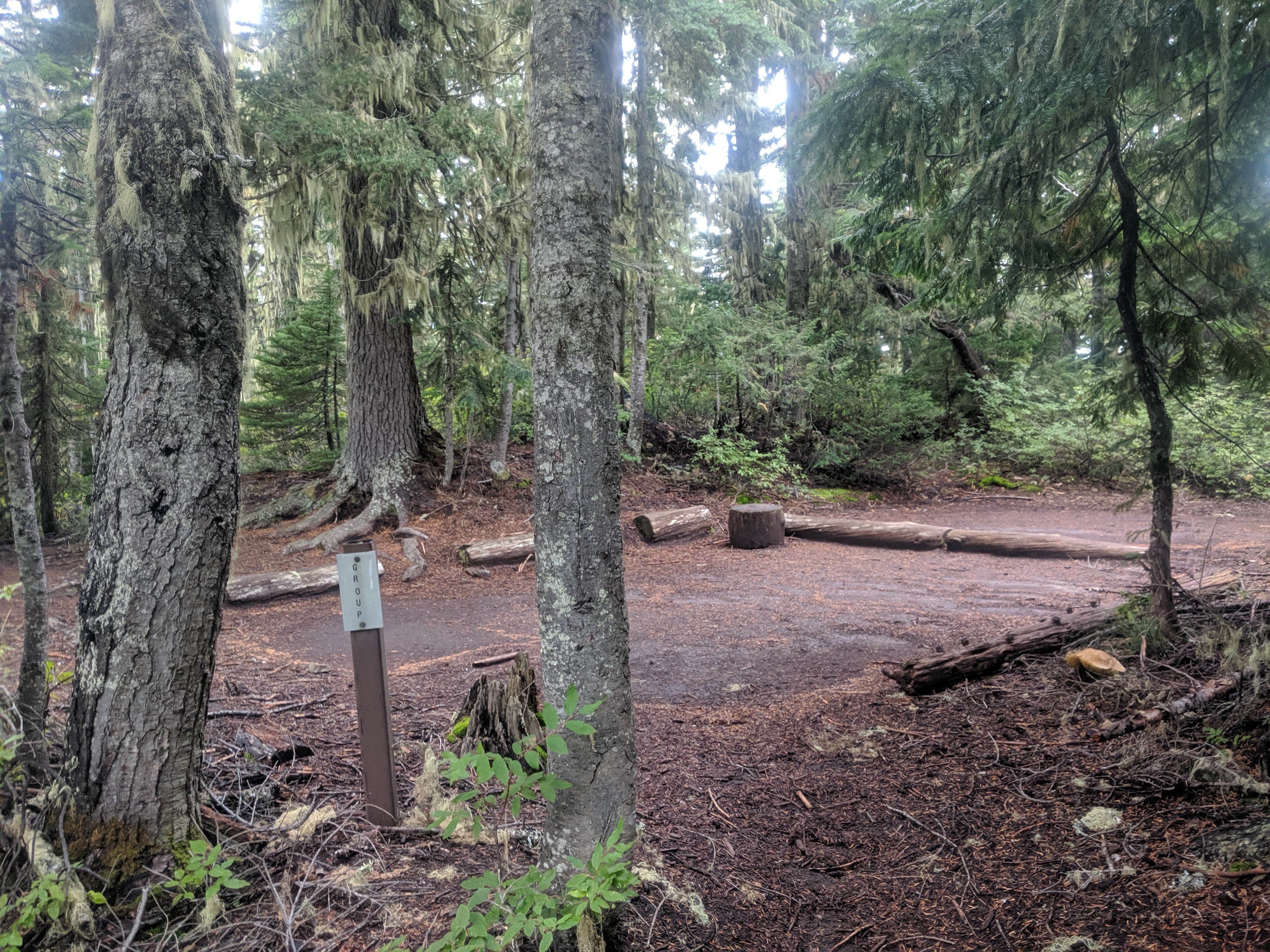 Camper-submitted photo at Golden Lakes Backcountry Campsites — Mount Rainier National Park near Lake Tapps, WA