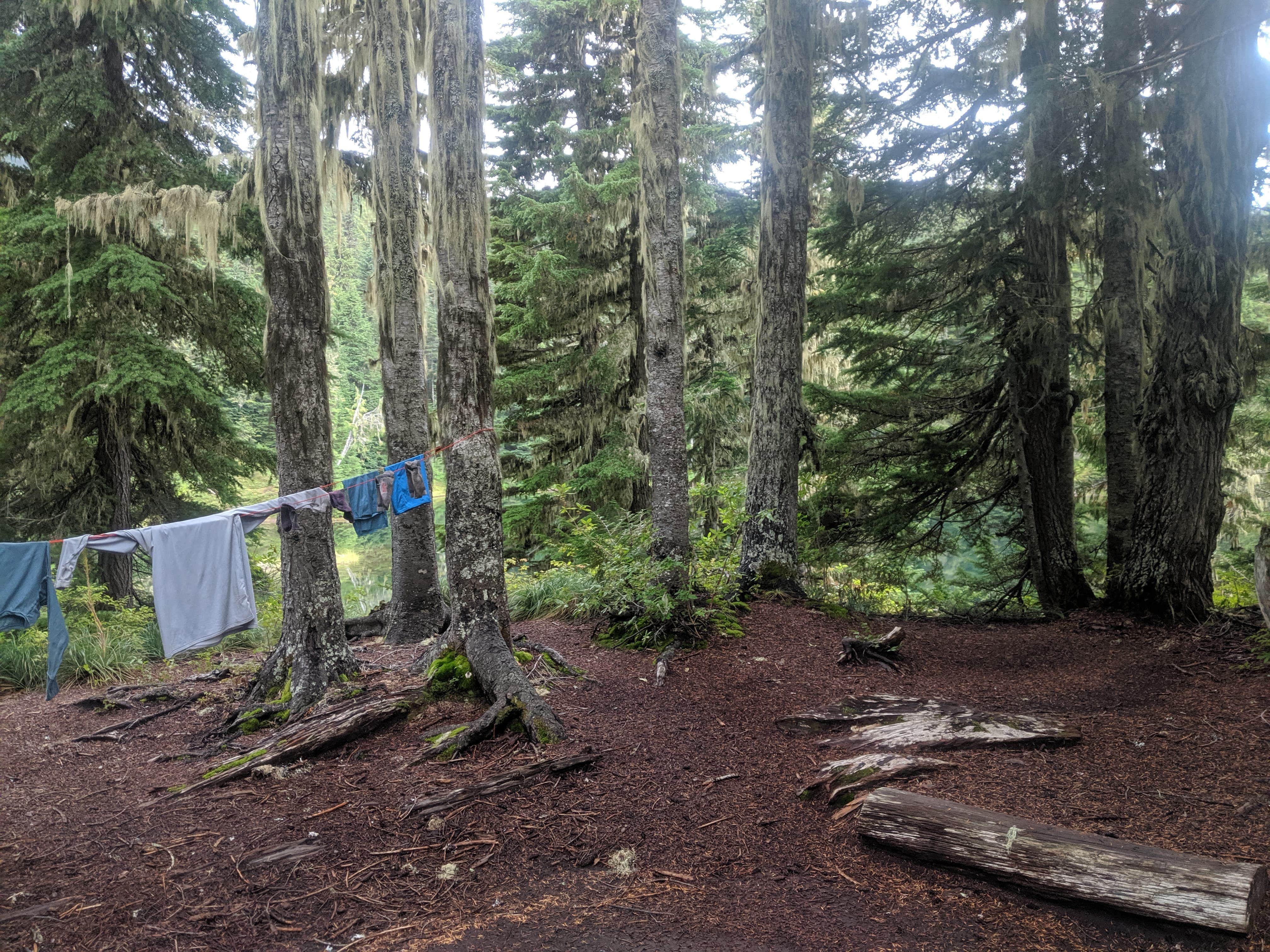 Camper-submitted photo at Golden Lakes Backcountry Campsites — Mount Rainier National Park near Lake Tapps, WA