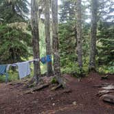 Review photo of Golden Lakes Backcountry Campsites by Katie K., September 21, 2019