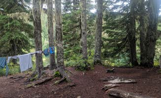 Katie K.'s photo of tent camping at Golden Lakes Backcountry Campsites — Mount Rainier National Park near Des Moines, WA