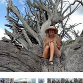 Review photo of Koreshan State Park Campground by Rebecca E., August 10, 2017
