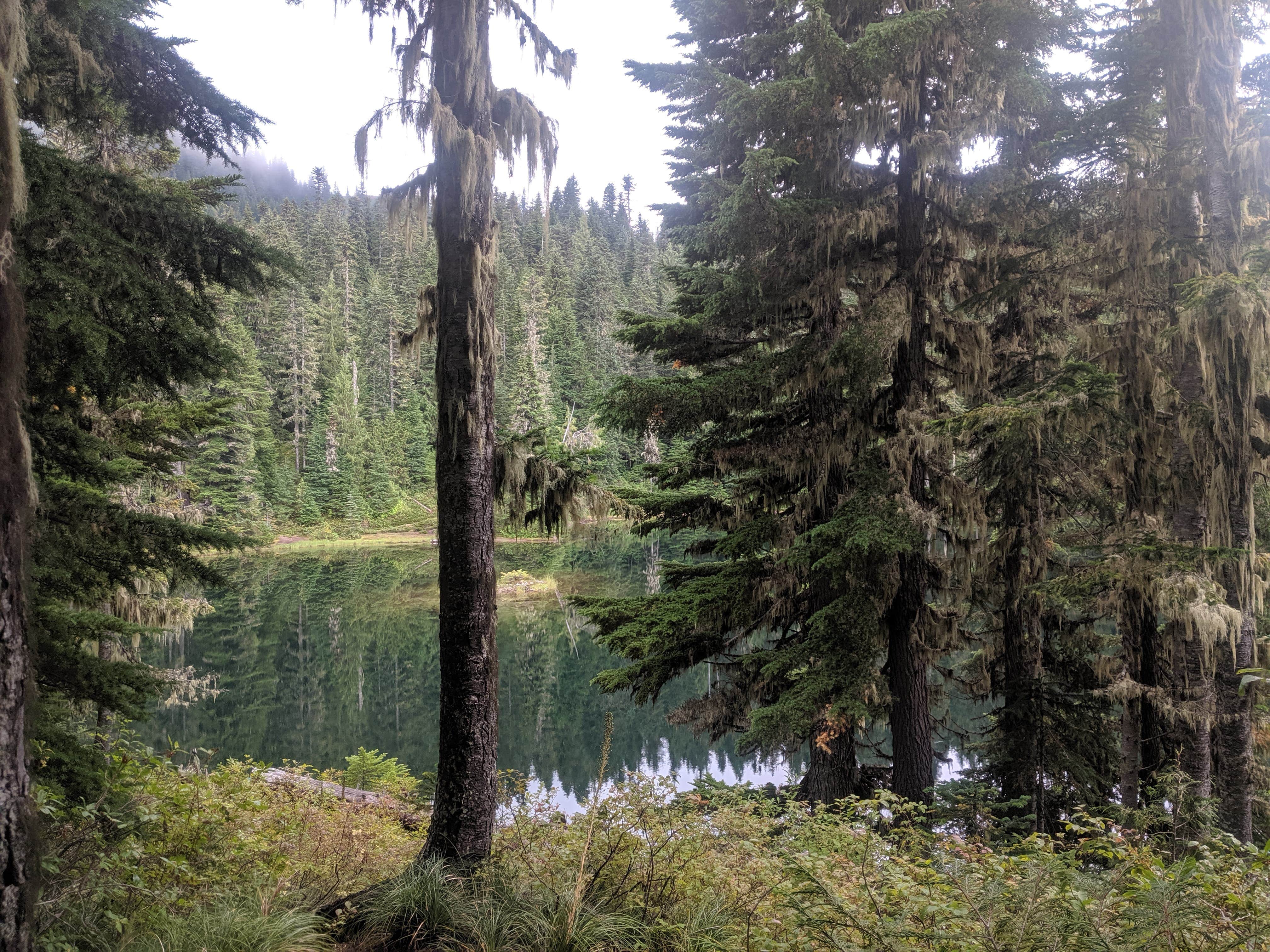 Mowich campground sale