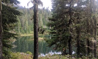 Camping near Eagles Roost Camp — Mount Rainier National Park: Golden Lakes Backcountry Campsites — Mount Rainier National Park, Mount Rainier National Park, Washington