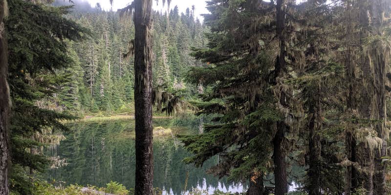 Camper submitted image from Golden Lakes Backcountry Campsites — Mount Rainier National Park