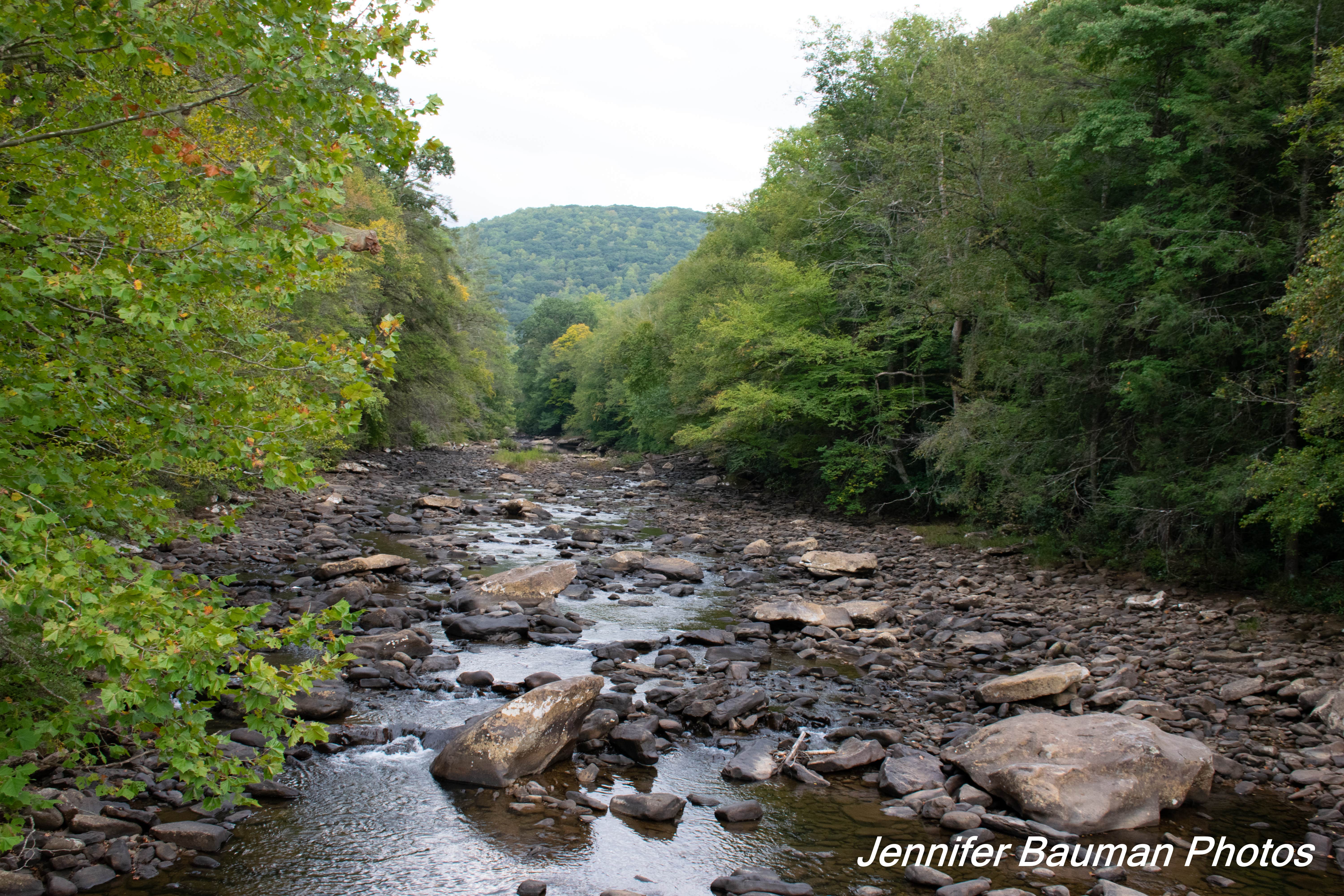 Camper submitted image from Big Rock Campground - 5