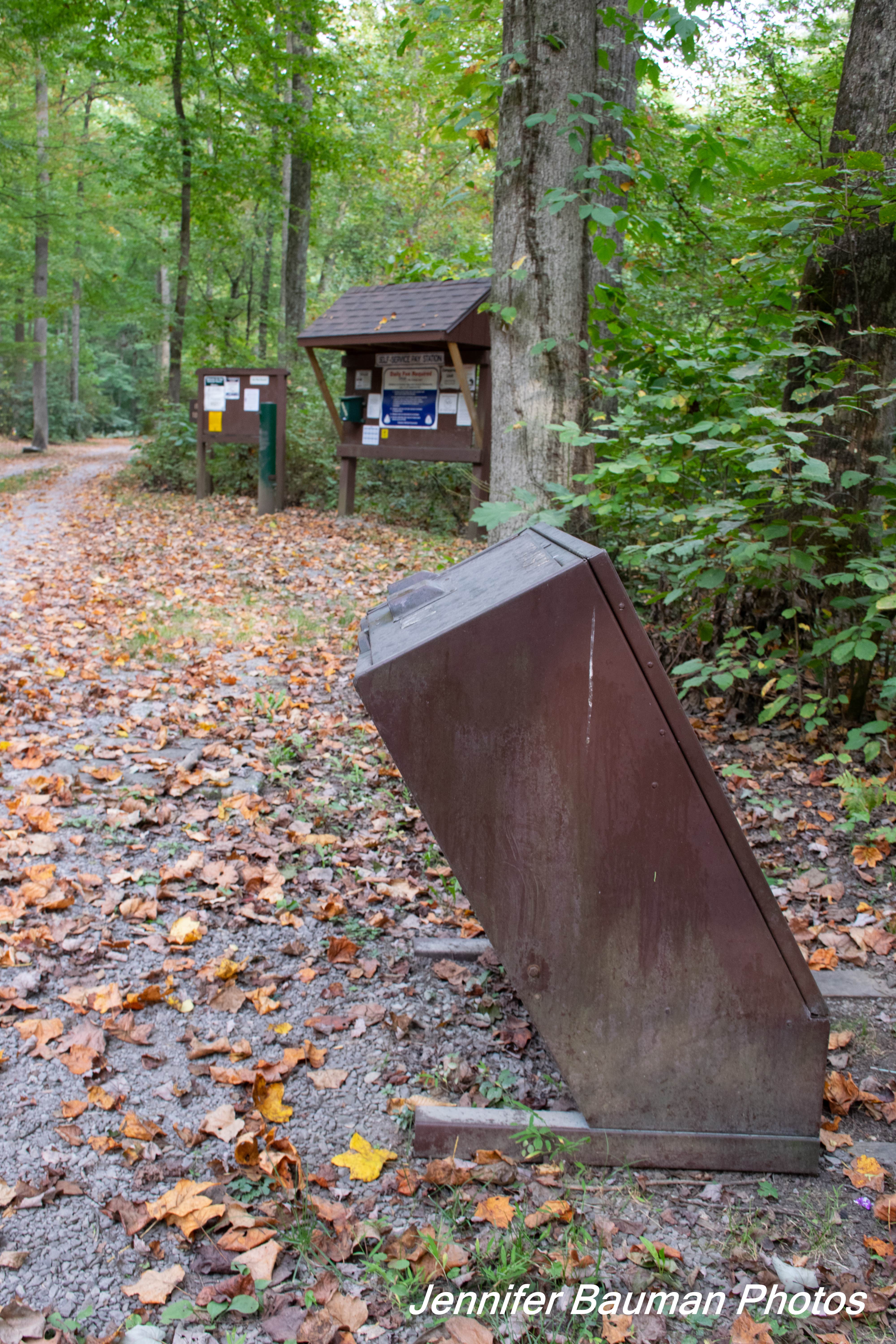 Camper submitted image from Big Rock Campground - 2