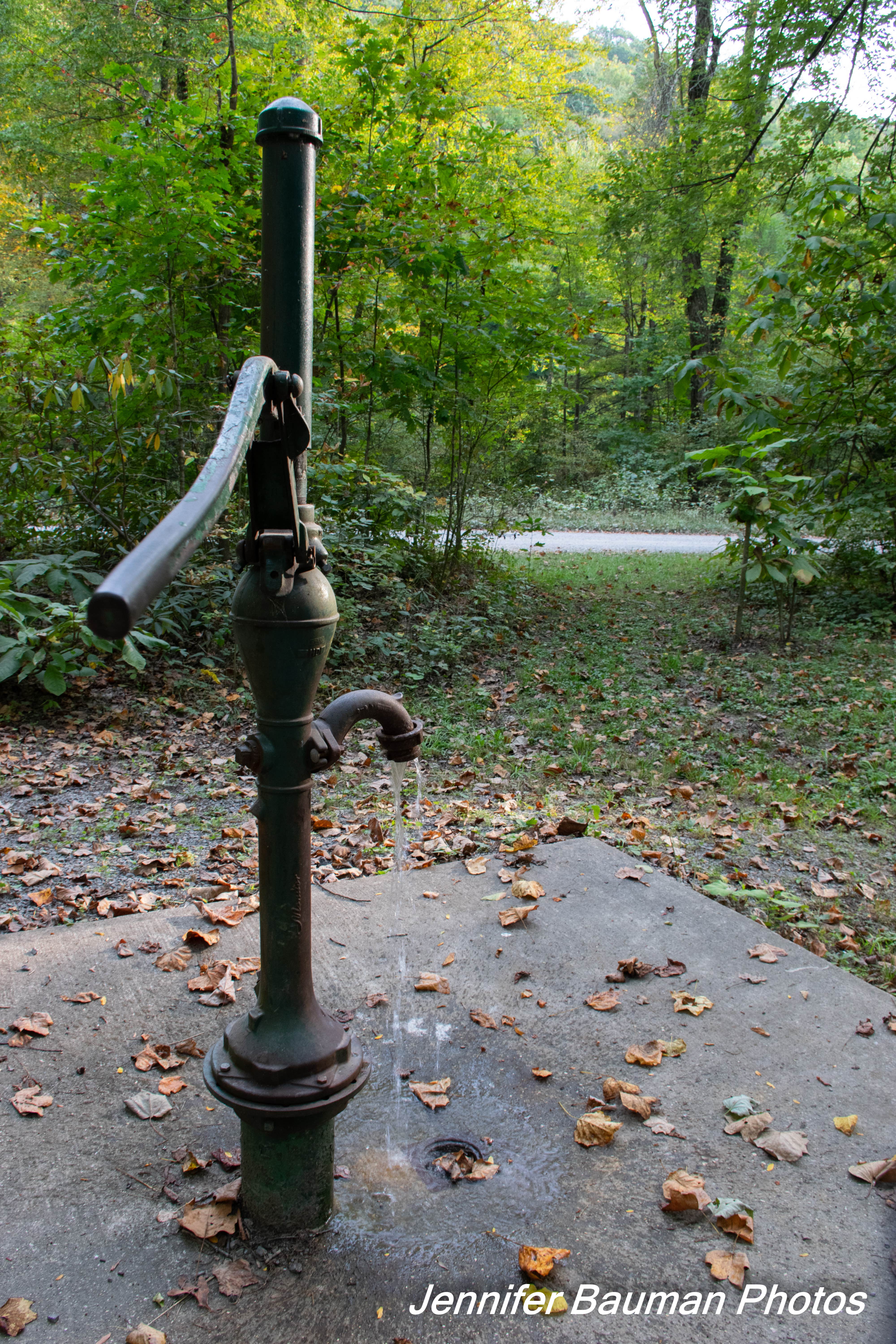 Camper-submitted photo at Big Rock Campground near Richwood, WV