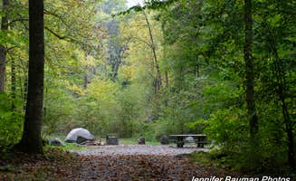 Jennifer B.'s photo at Big Rock Campground near Camden-on-Gauley, WV