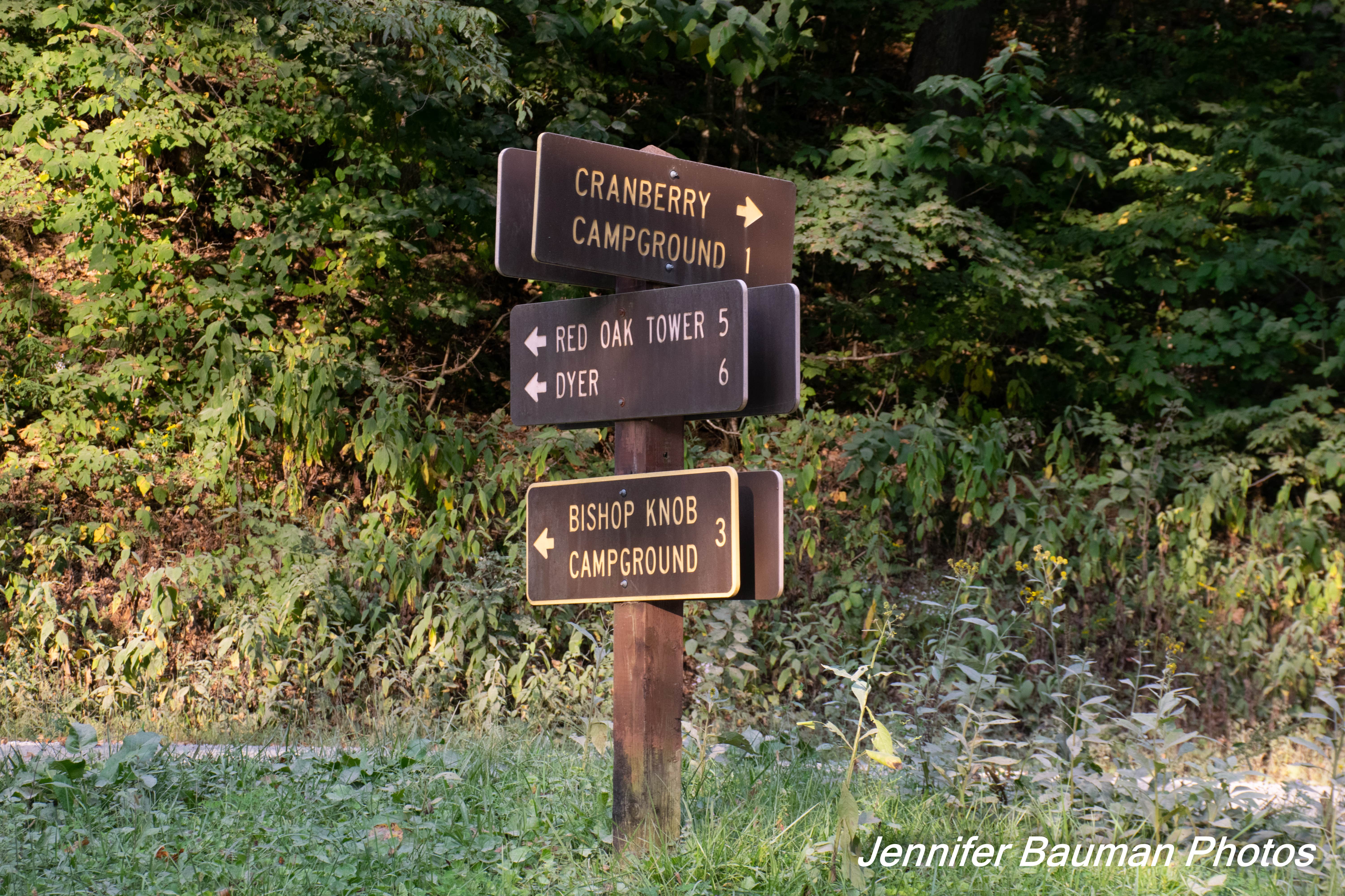 Camper-submitted photo at Big Rock Campground near Richwood, WV