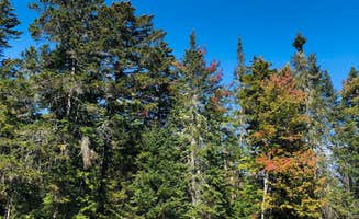 Rebecca A.'s photo of rv camping at Mount Blue State Park Campground near Phillips, ME