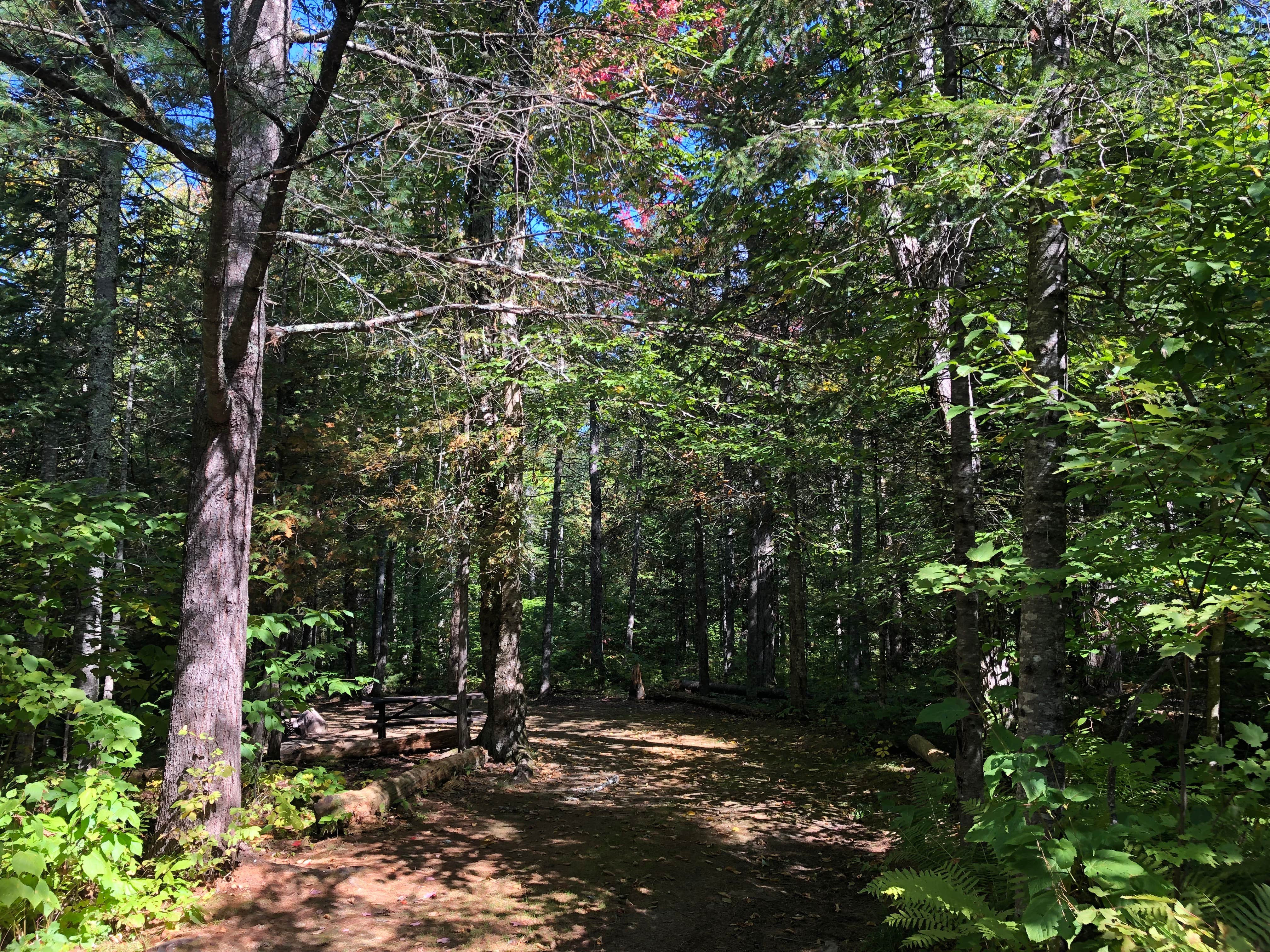 Camper submitted image from Mount Blue State Park Campground - 4