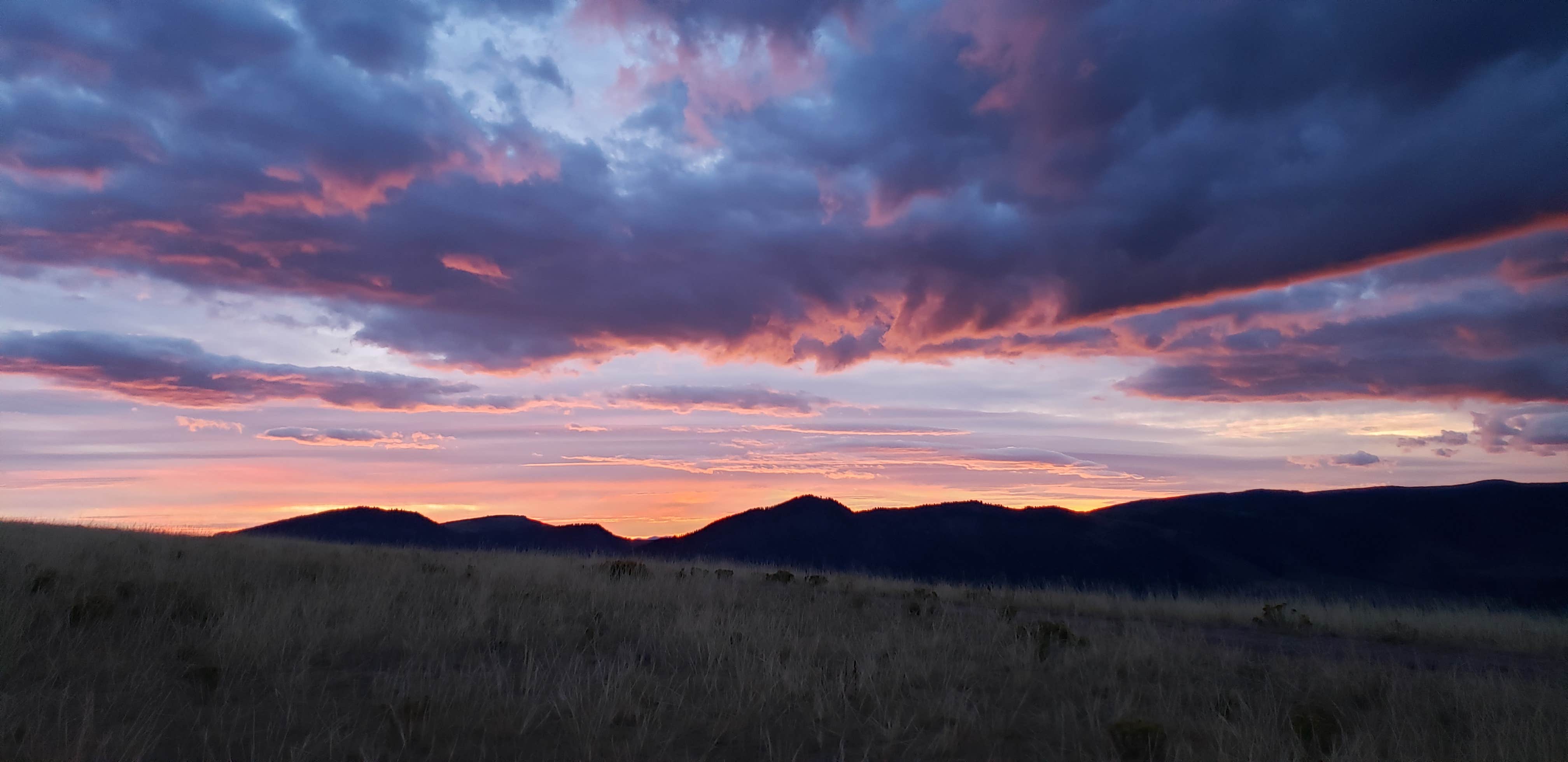 Camper submitted image from Medicine Bow-Routt National Forest Road 214 Dispersed - 2