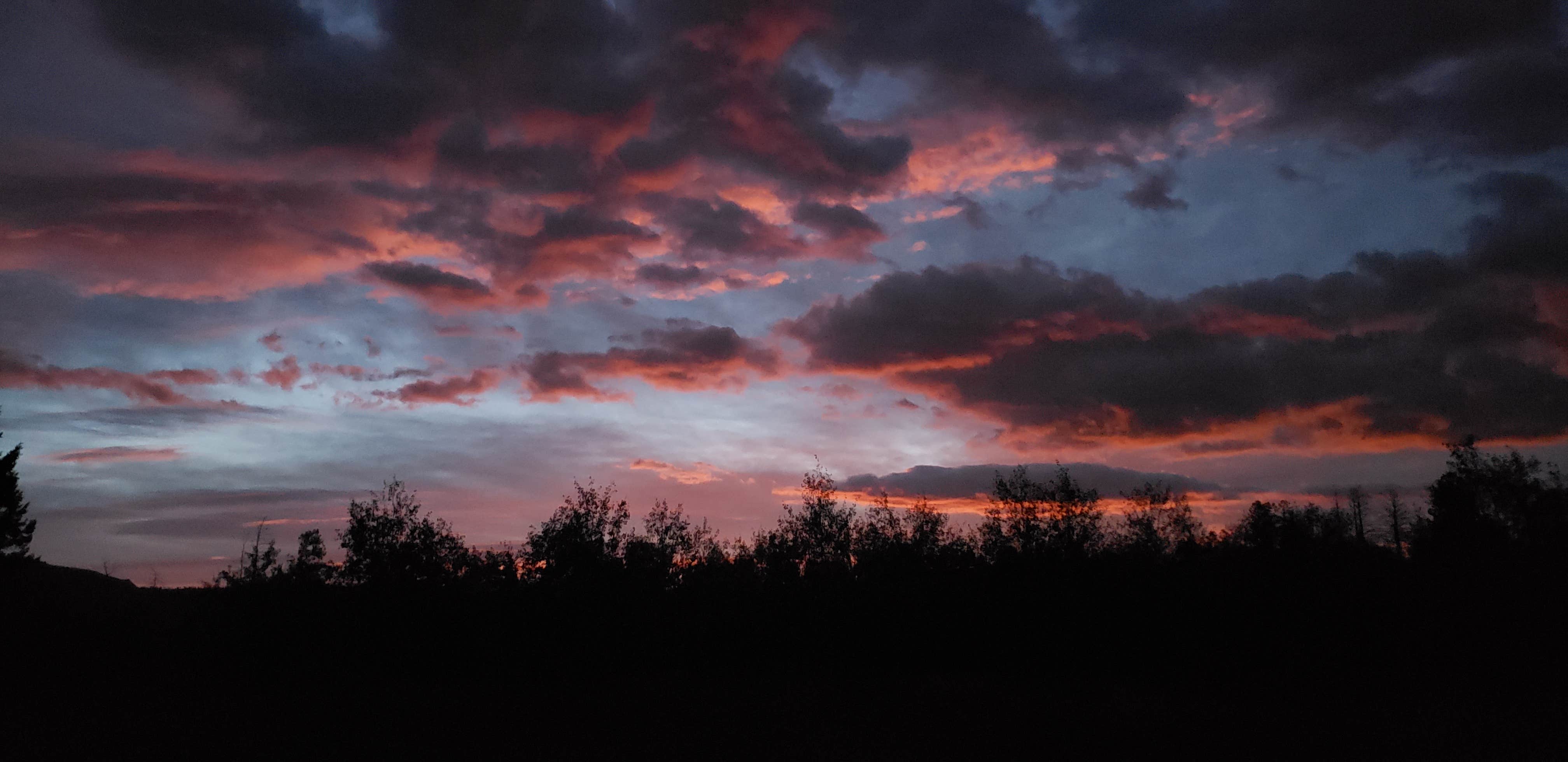 Thomas B.'s photo of a dispersed camping area at Medicine Bow-Routt National Forest Road 214 Dispersed near Oak Creek, CO