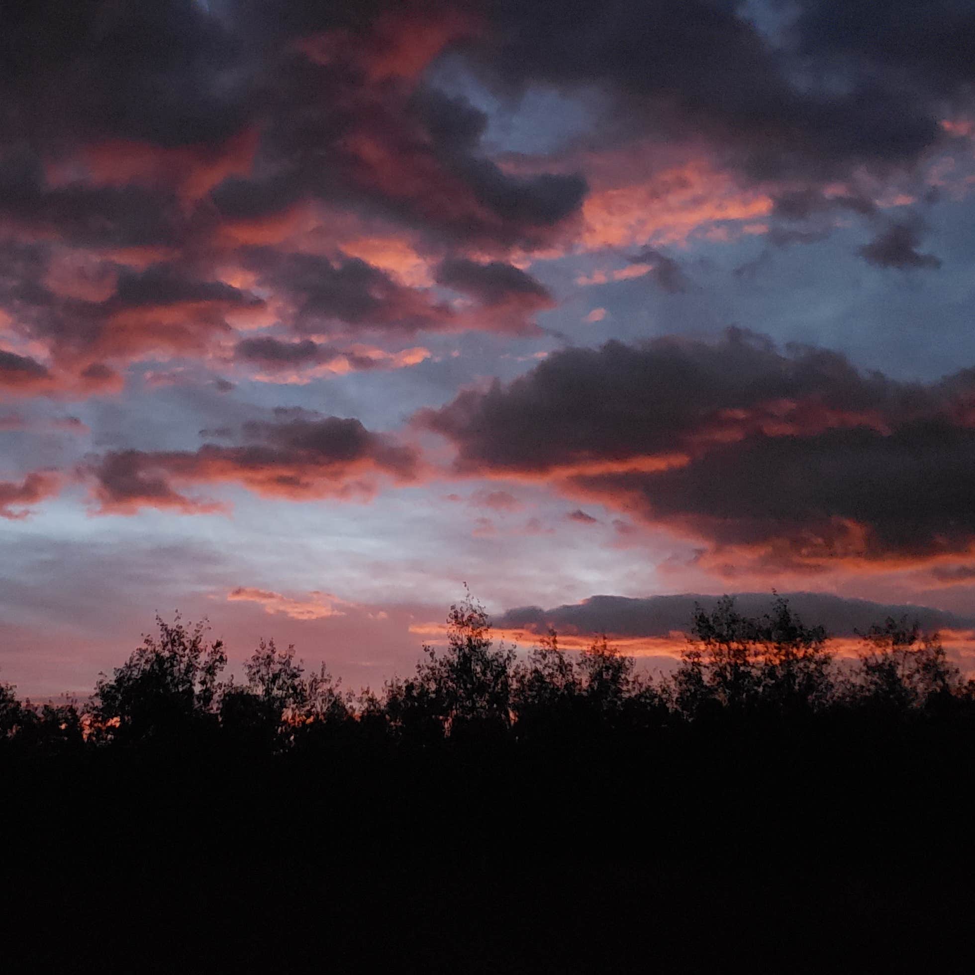 Medicine BowRoutt National Forest Road 214 Dispersed Camping