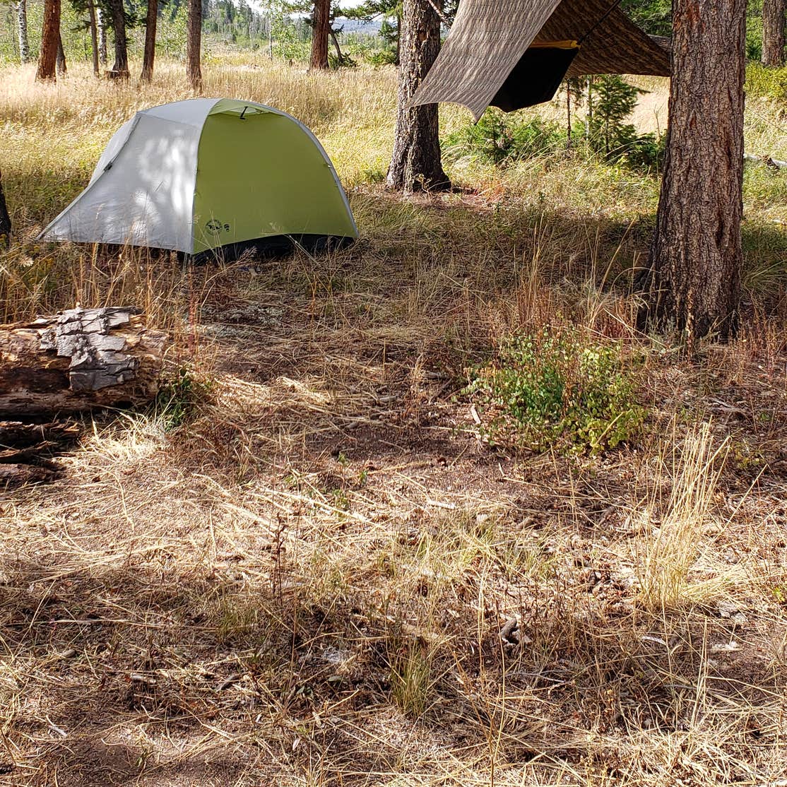 Medicine BowRoutt National Forest Road 214 Dispersed Camping