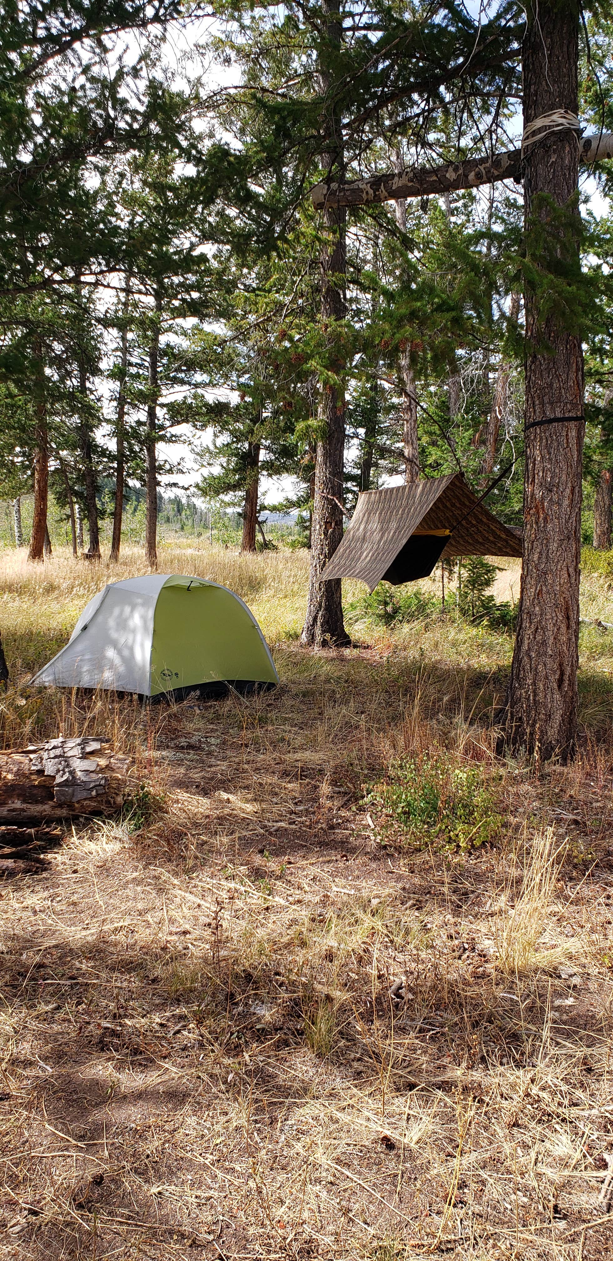 Camper submitted image from Medicine Bow-Routt National Forest Road 214 Dispersed - 4