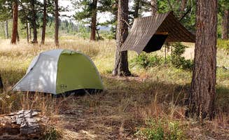 Thomas B.'s photo at Medicine Bow-Routt National Forest Road 214 Dispersed near Bond, CO