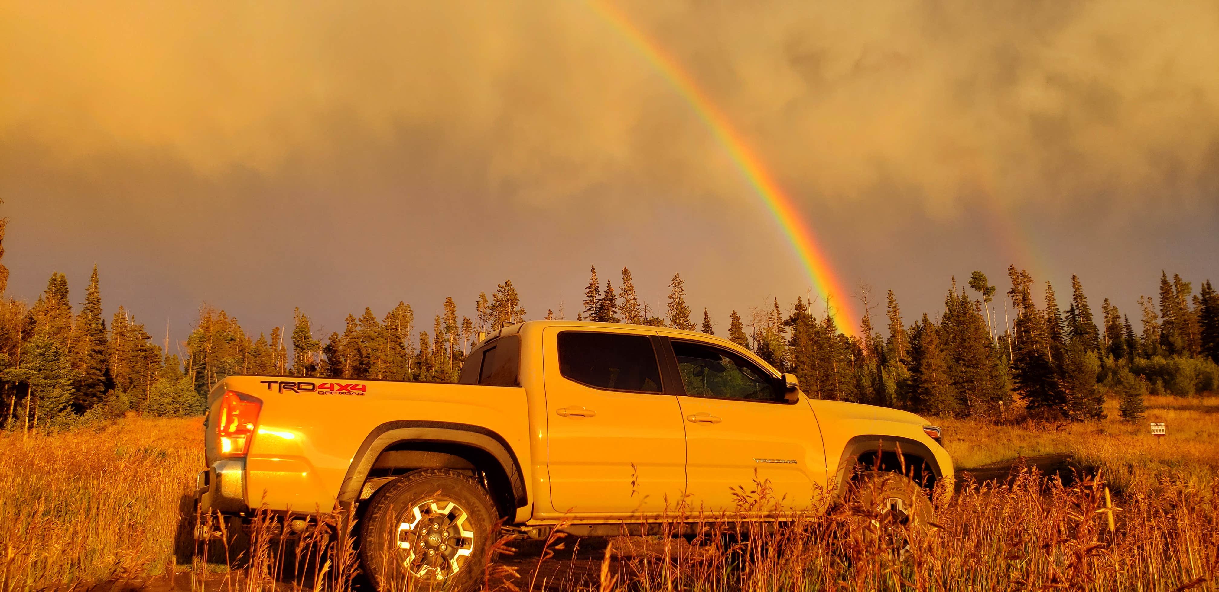 Camper-submitted photo at Medicine Bow-Routt National Forest Road 214 Dispersed near Bond, CO