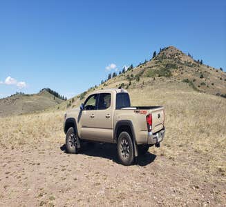 Camper-submitted photo from Medicine Bow-Routt National Forest Road 214 Dispersed