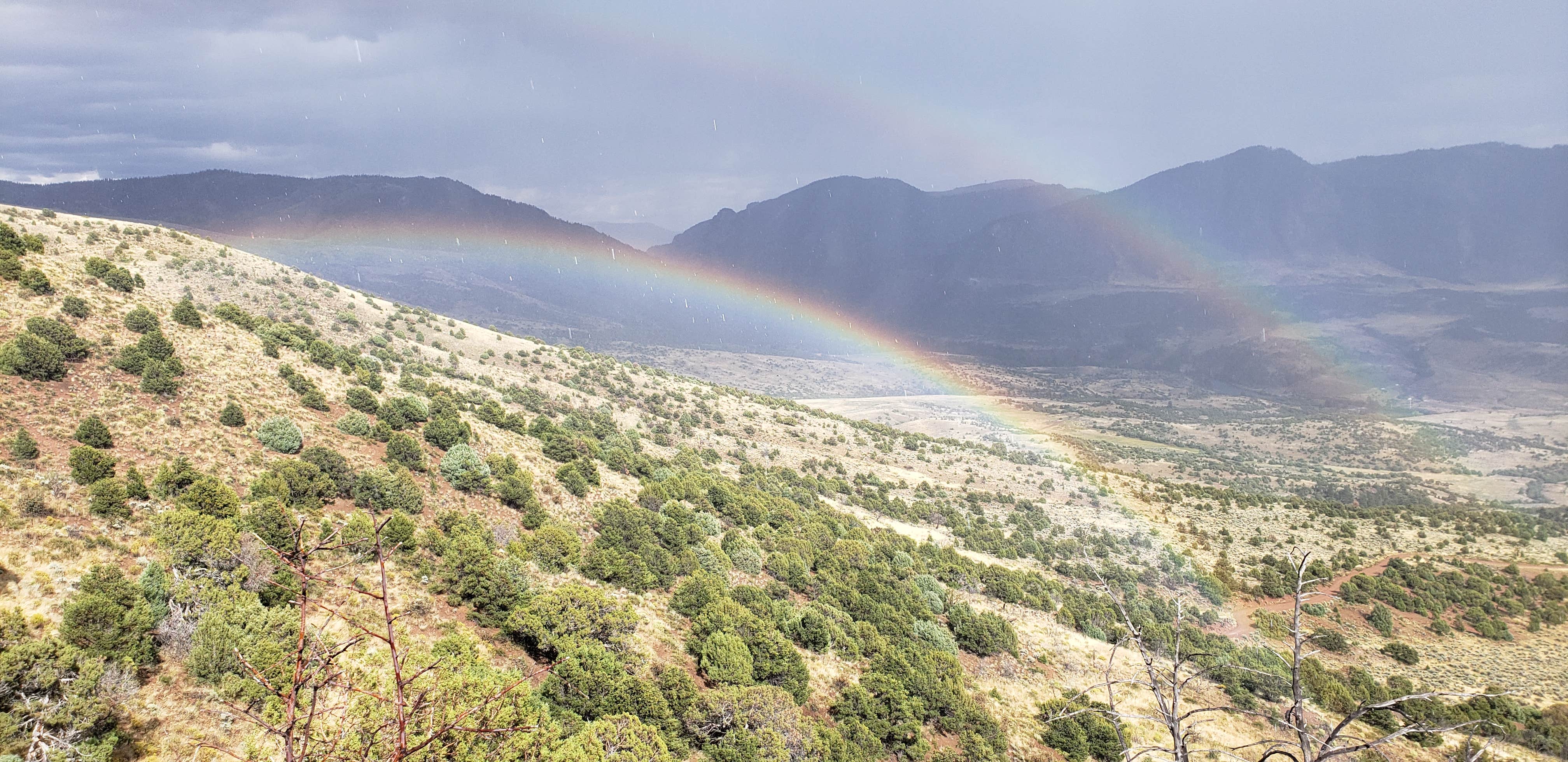 Medicine BowRoutt National Forest Road 214 Dispersed Camping Kremmling, CO