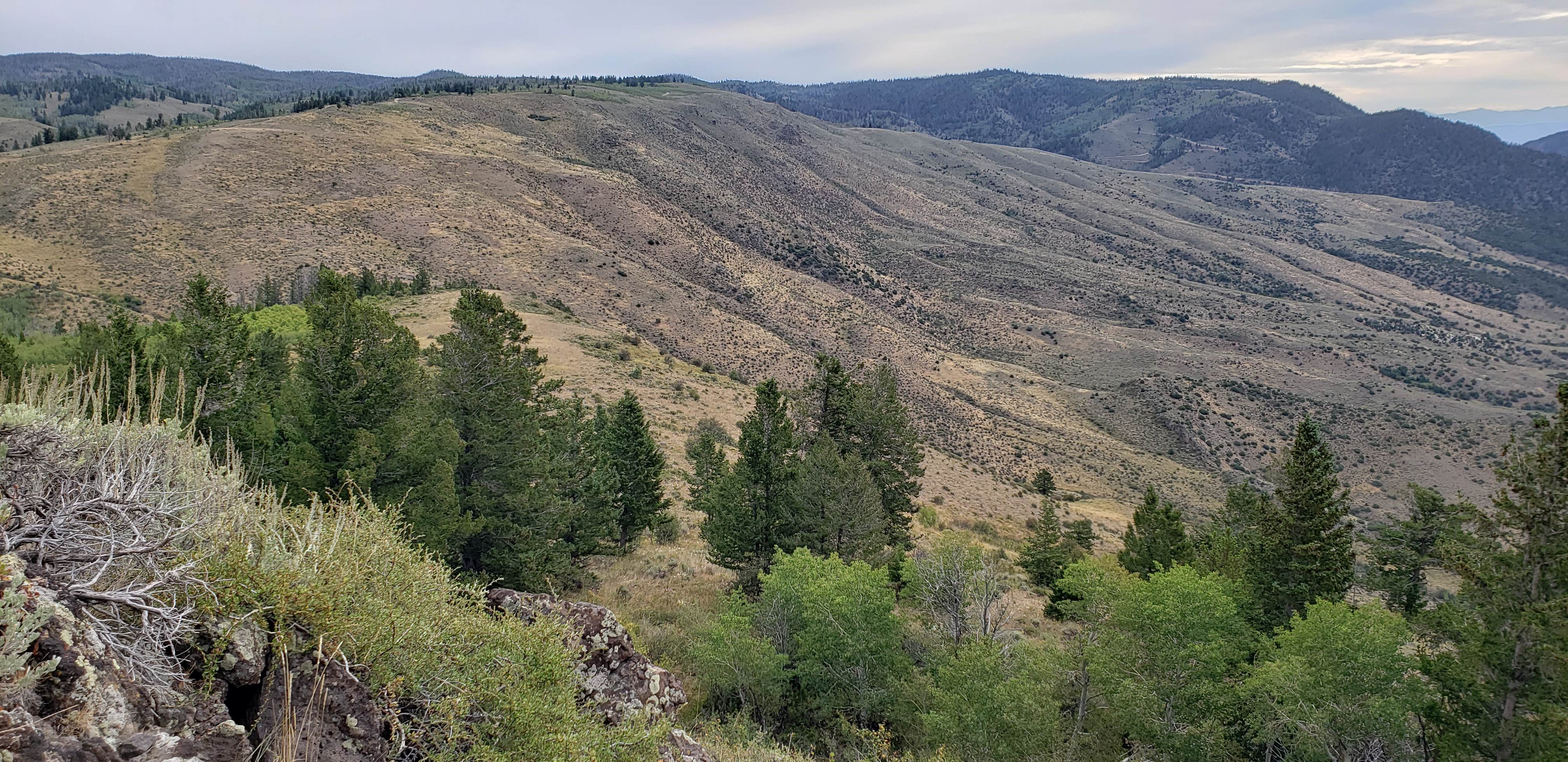 Camper-submitted photo at Medicine Bow-Routt National Forest Road 214 Dispersed near Bond, CO