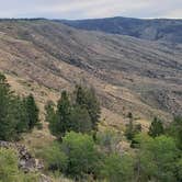 Review photo of Medicine Bow-Routt National Forest Road 214 Dispersed by Thomas B., September 21, 2019