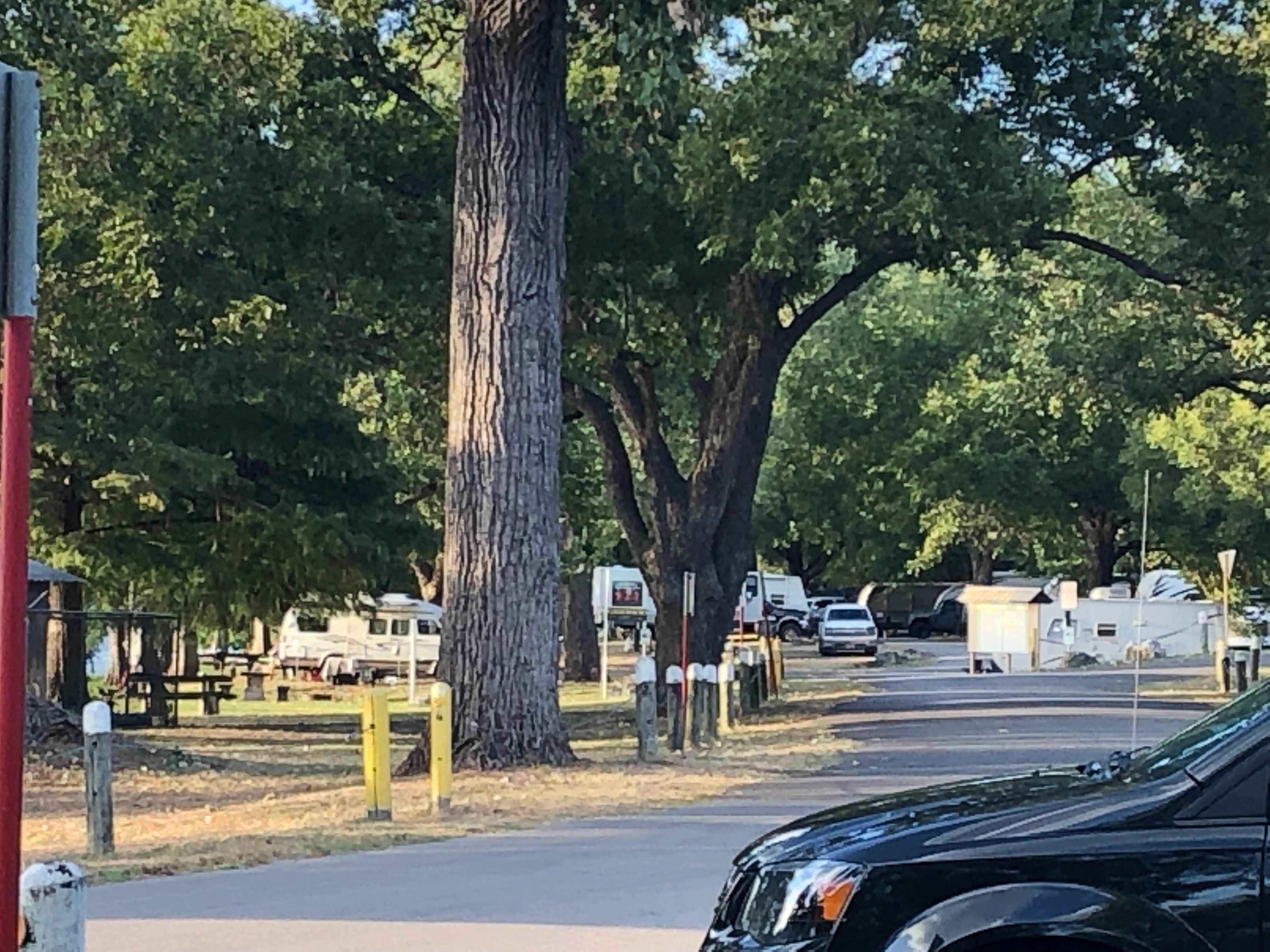 Camper-submitted photo at Emma Long Metropolitan Park near Austin, TX