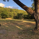Review photo of Emma Long Metropolitan Park by Alicia F., September 21, 2019