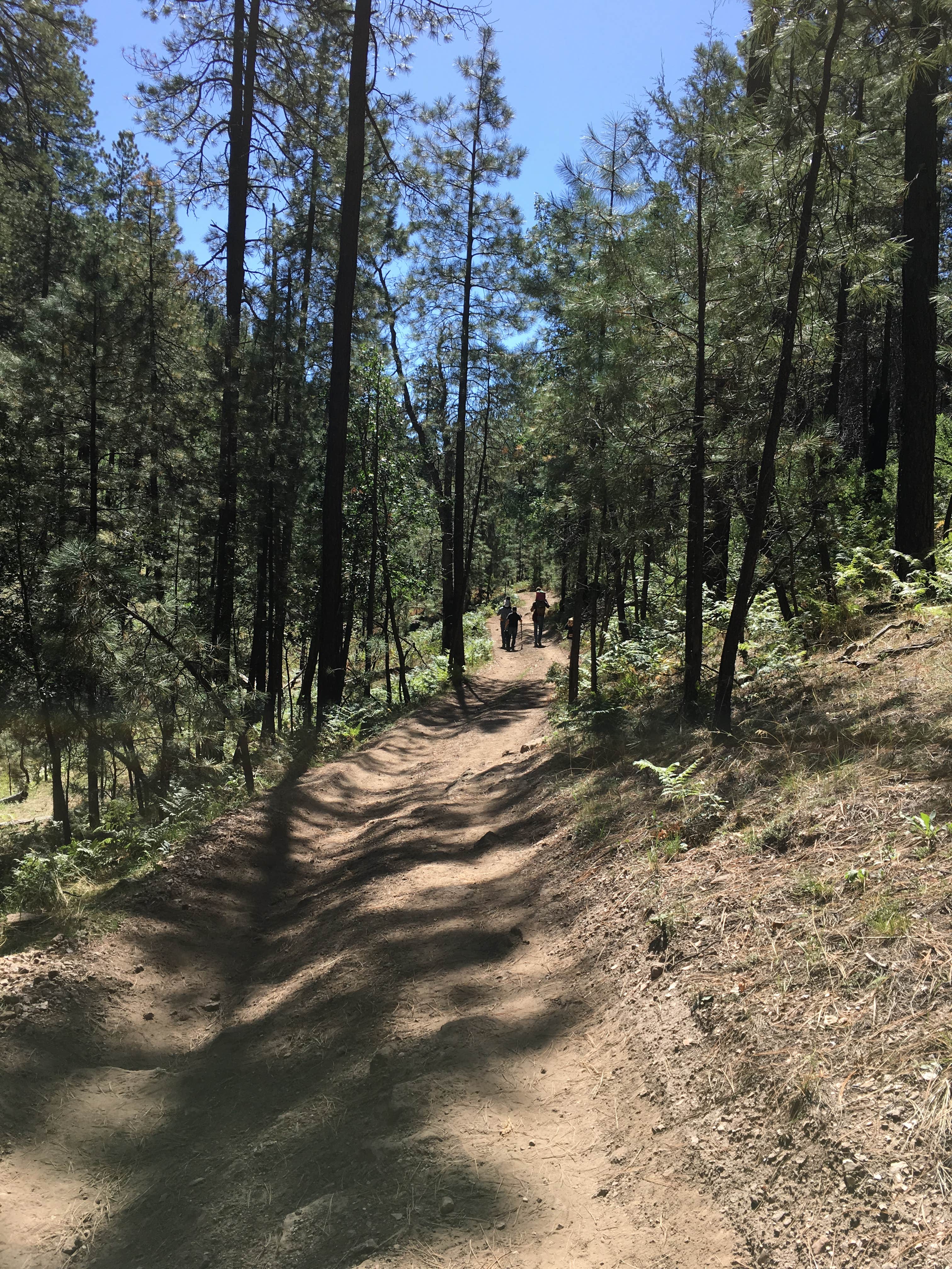 Camper submitted image from Pivot Rock Canyon - 3