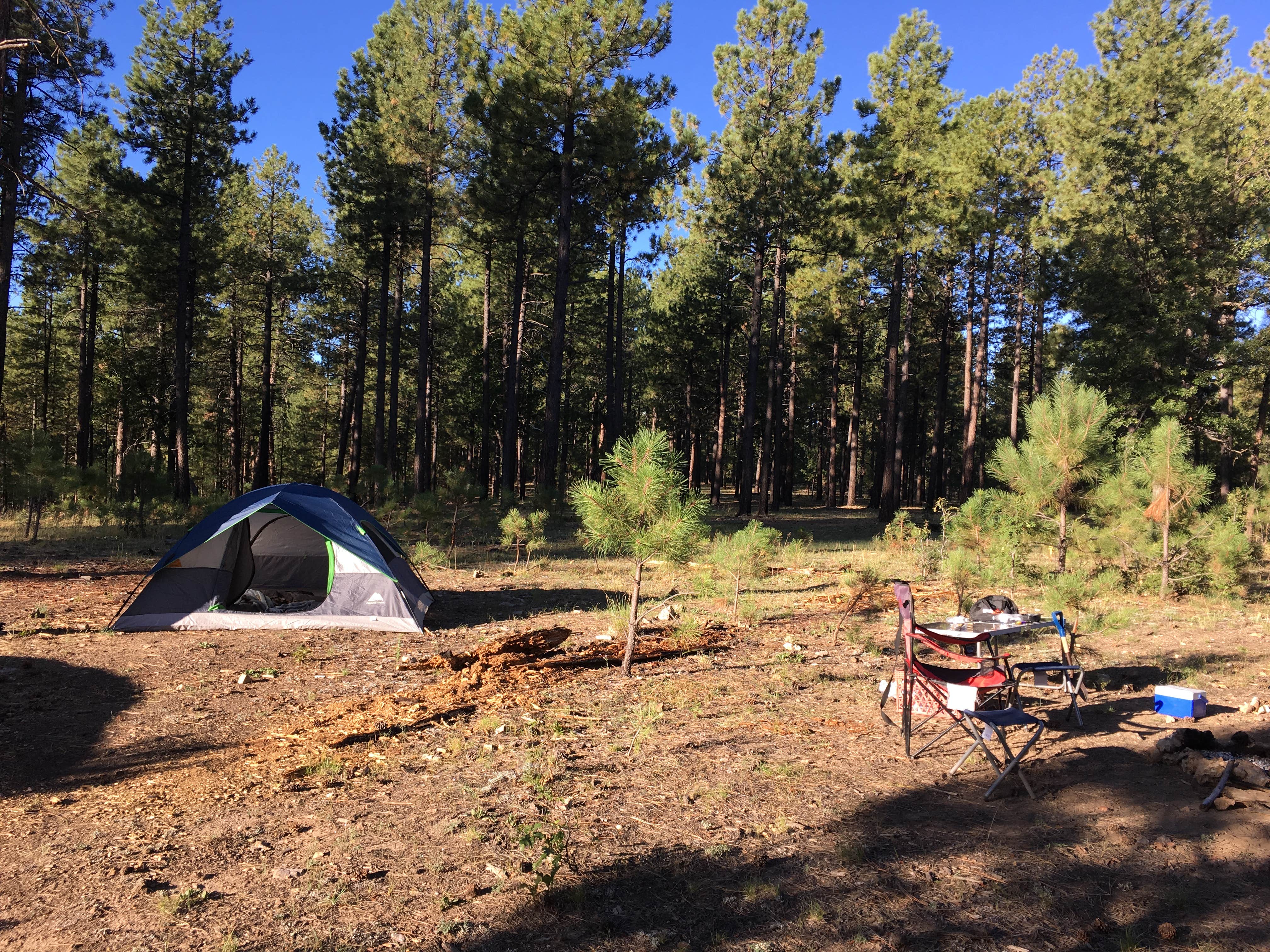 Camper submitted image from Pivot Rock Canyon - 2