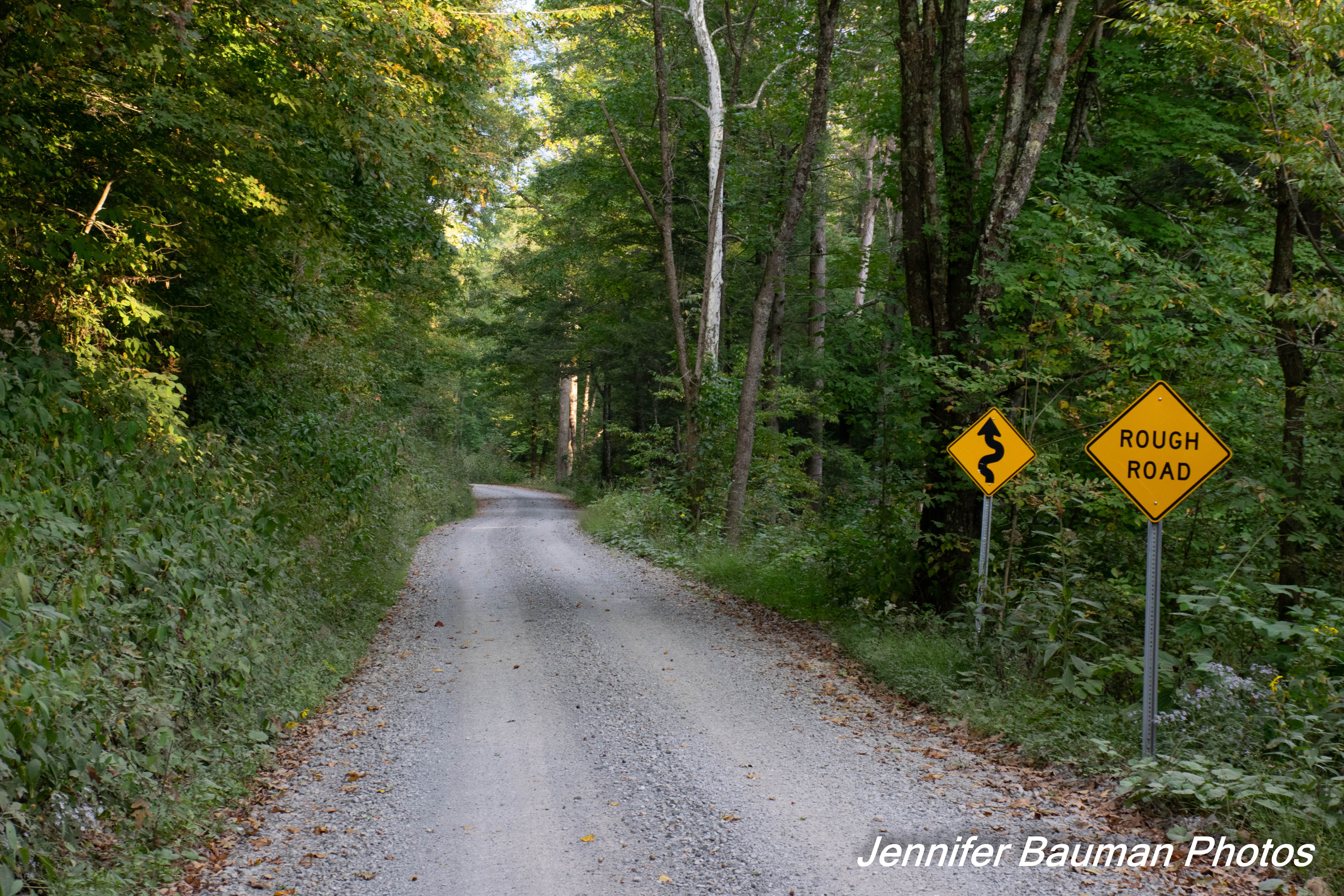 Camper submitted image from Cranberry Campground - 2