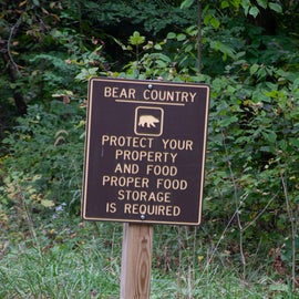 Cranberry Campground is in black bear country.