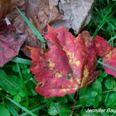 Review photo of Cranberry Campground by Jennifer B., September 22, 2019