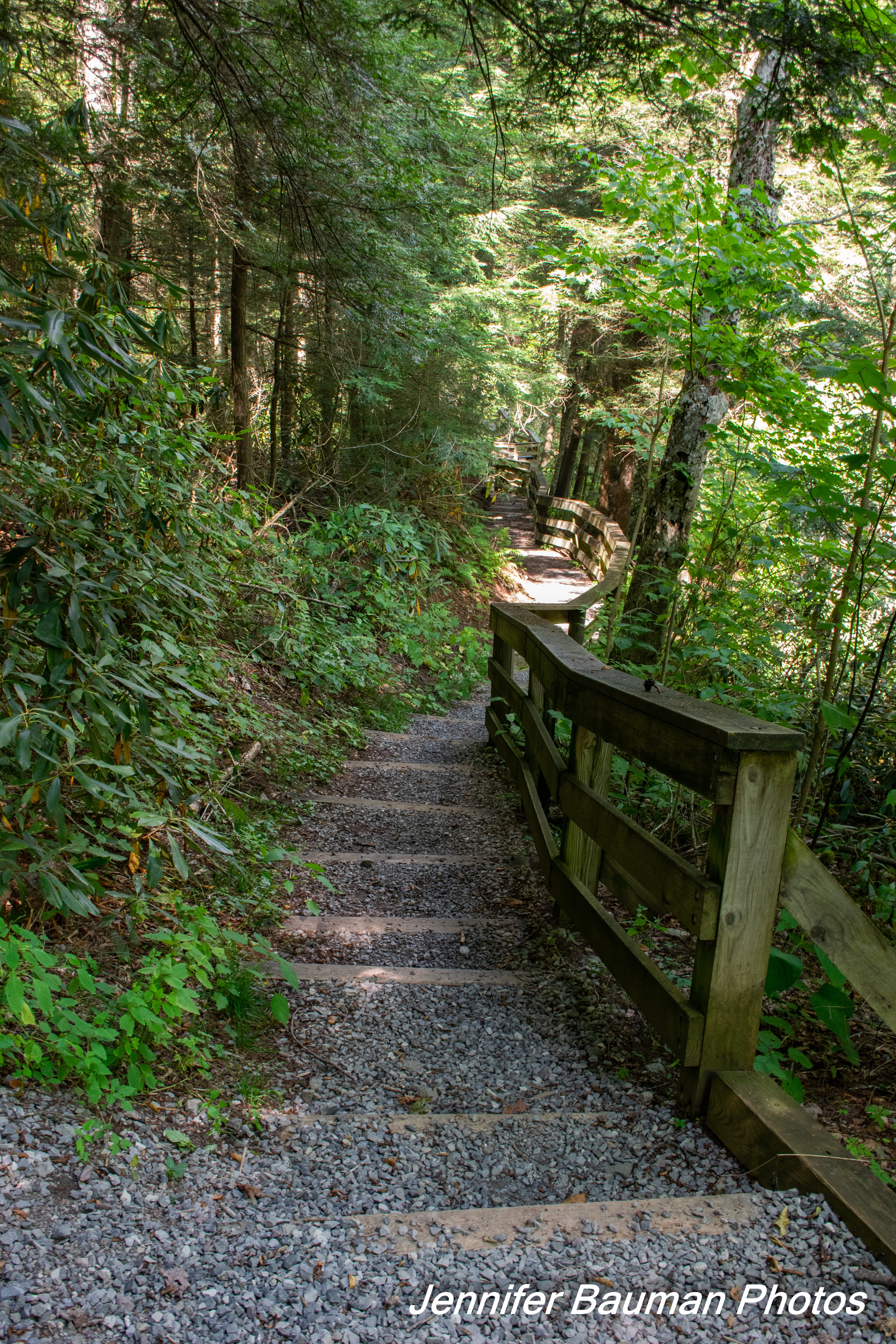 Sample of stairs to access Falls of Hills Creek