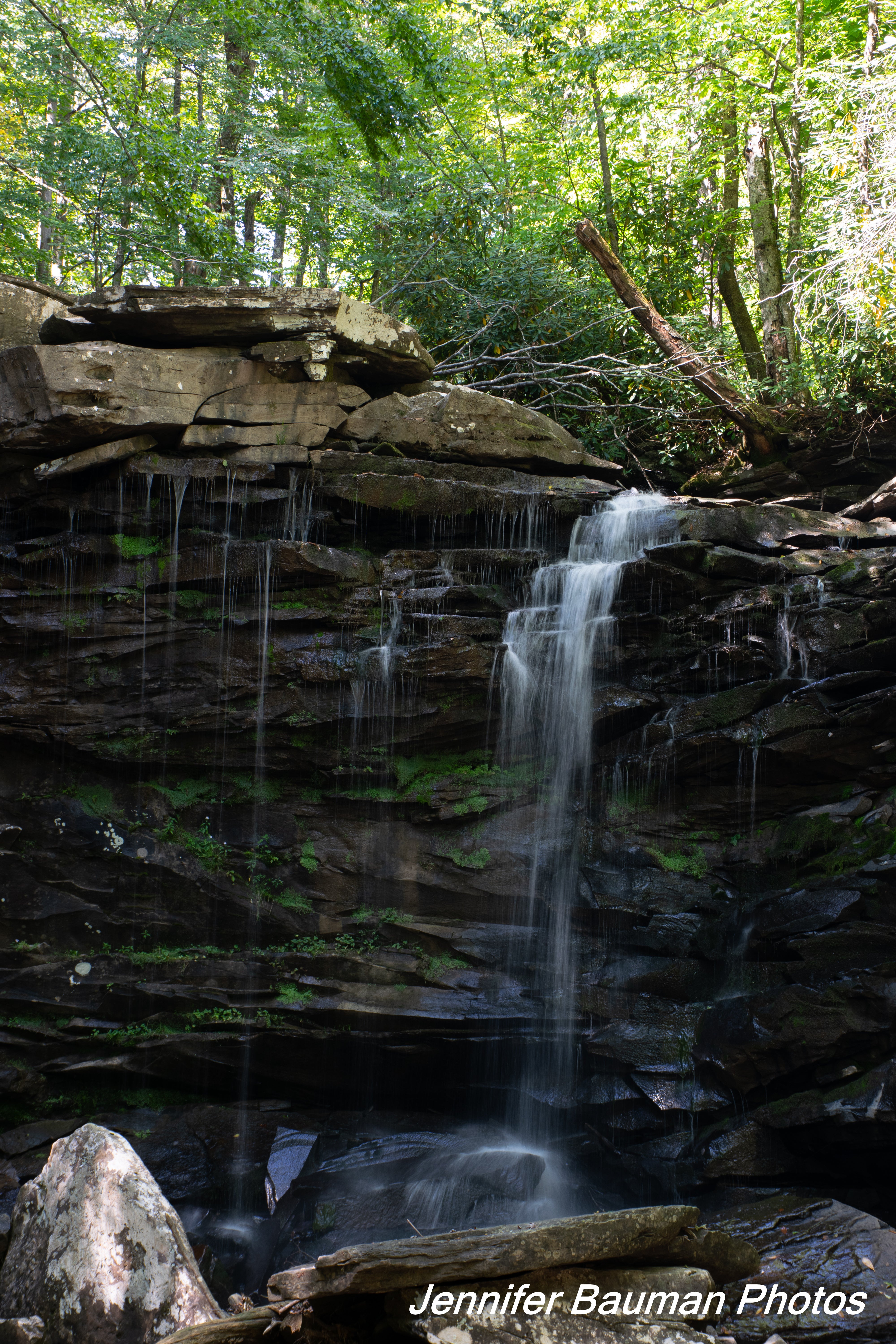 Middle falls at Falls of Hills Creek
