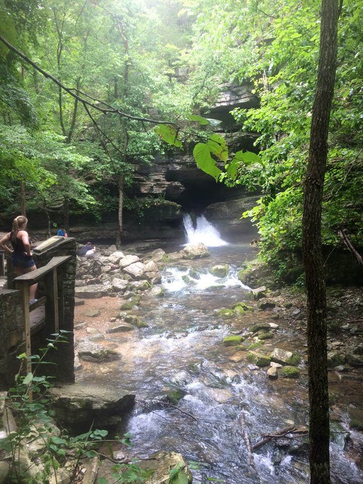 Camper submitted image from Gunner Pool Recreation Area - 3