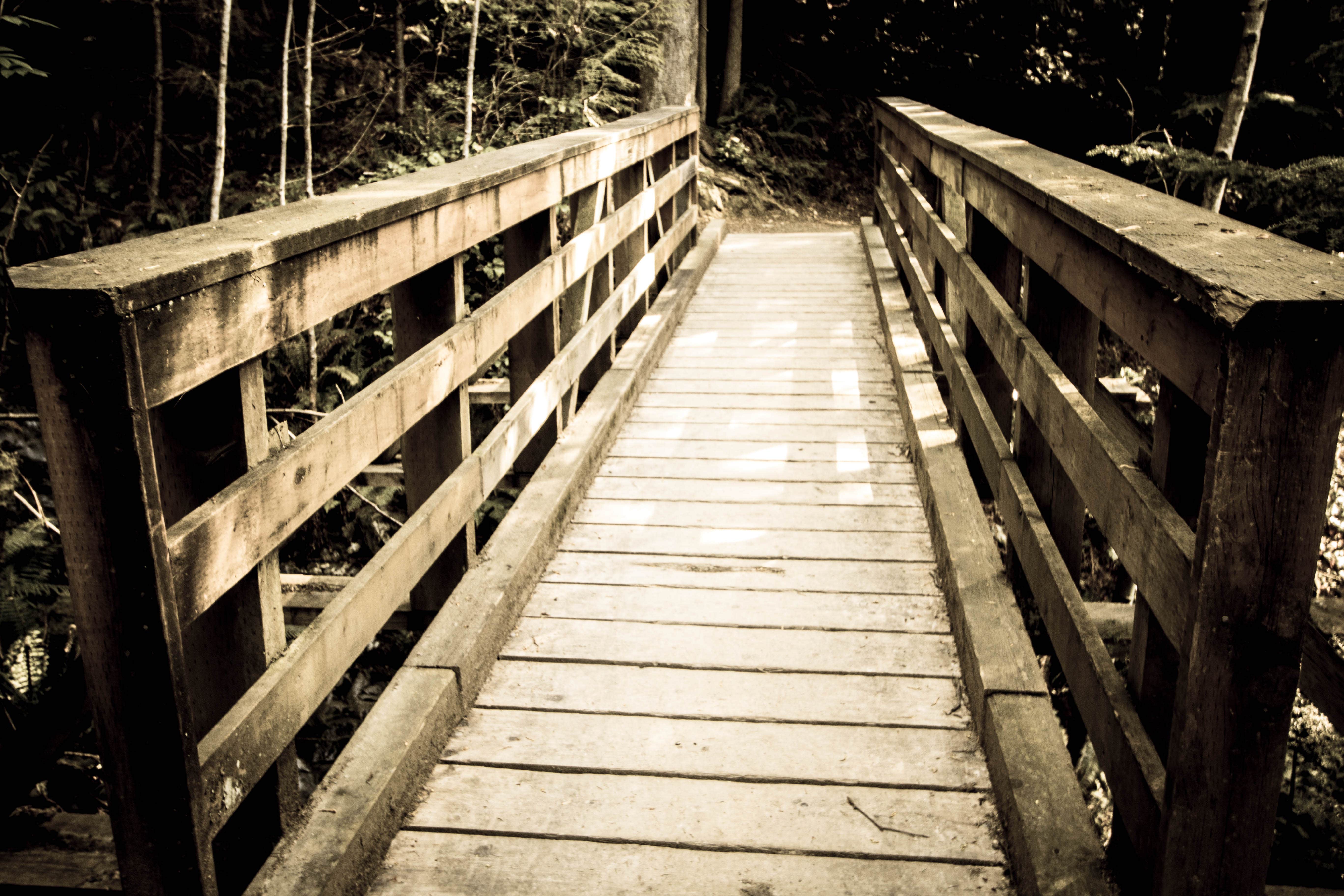 Larrabee State Park Campground Bellingham, Washington