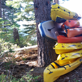 Review photo of Fallen Leaf Campground - South Lake Tahoe by Ryan W., August 10, 2017