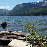 Review photo of Fallen Leaf Campground - South Lake Tahoe by Ryan W., August 10, 2017