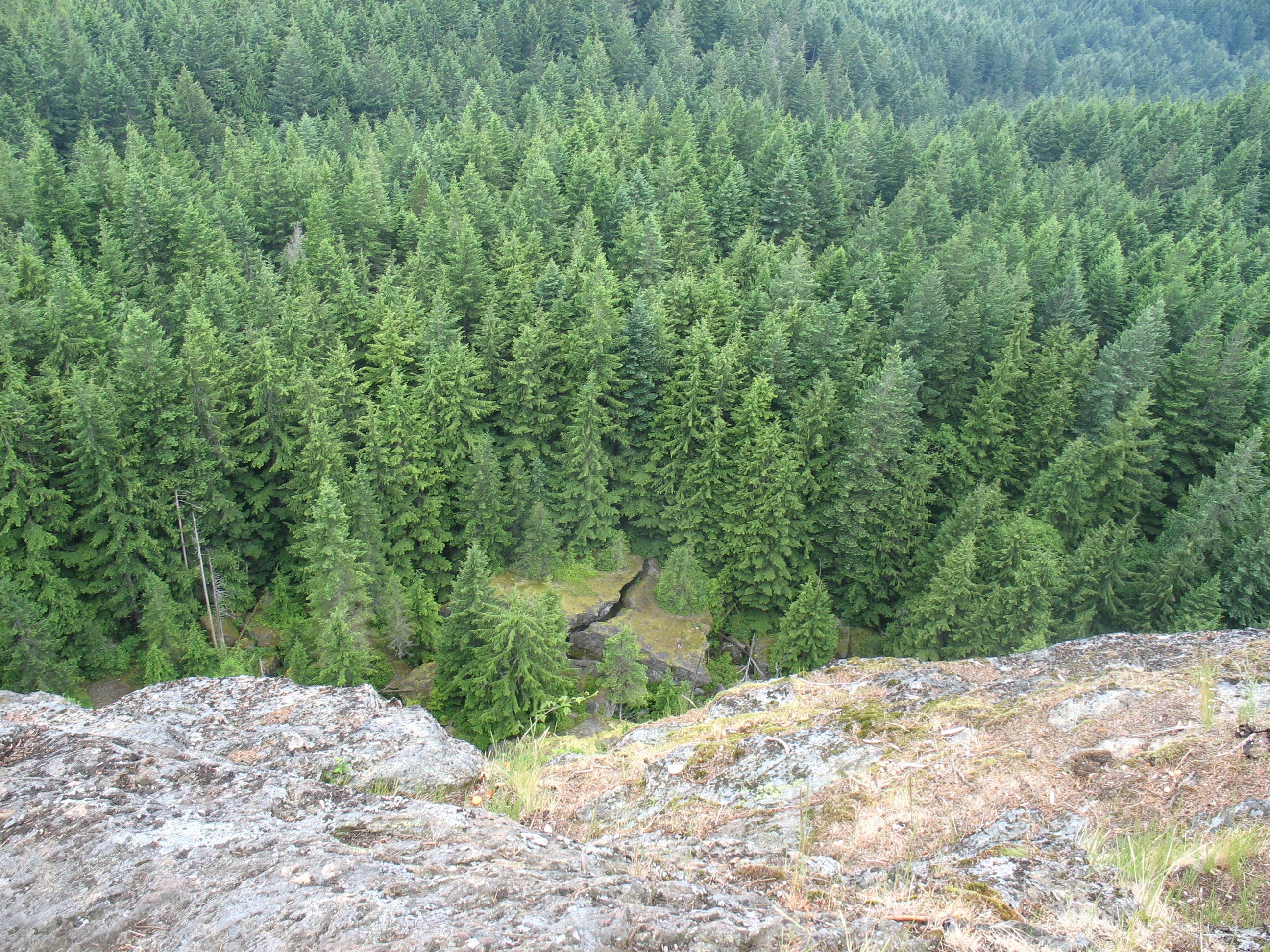 Camper submitted image from Larrabee State Park Campground - 2