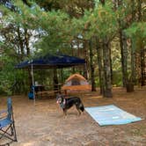 Review photo of Cleary Lake Regional Park by Lili R., September 22, 2019