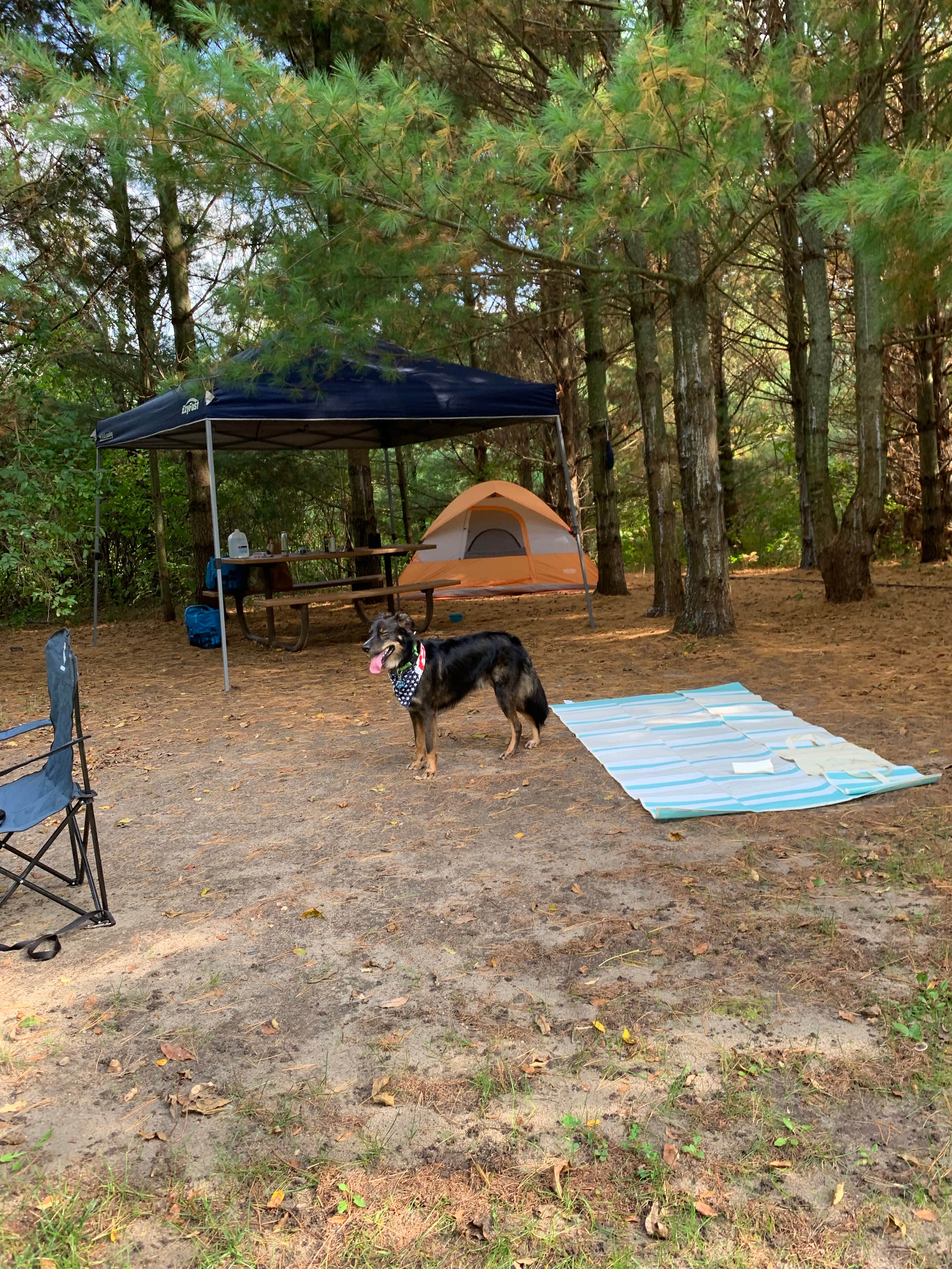 Camper submitted image from Cleary Lake Regional Park - 2