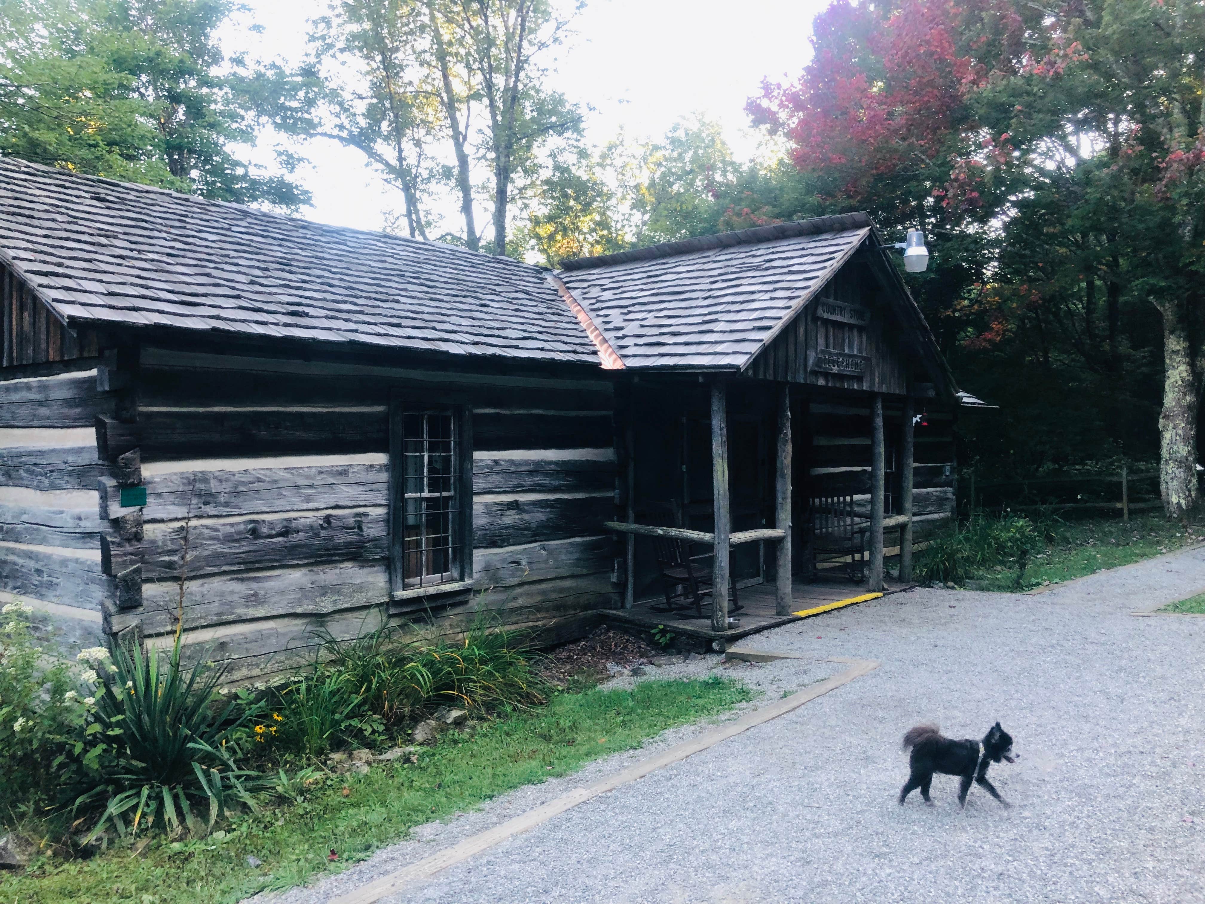 Shelly S.'s photo of glamping accommodations at Hickory Ridge Campground — Grayson Highlands State Park near Atkins, VA