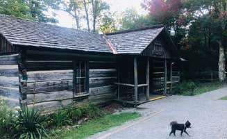 Shelly S.'s photo of glamping accommodations at Hickory Ridge Campground — Grayson Highlands State Park near Shady Valley, TN