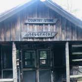 Review photo of Hickory Ridge Campground — Grayson Highlands State Park by Shelly S., September 22, 2019