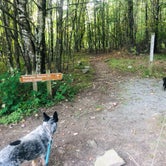 Review photo of Grayson Highlands State Park Campground by Shelly S., September 22, 2019