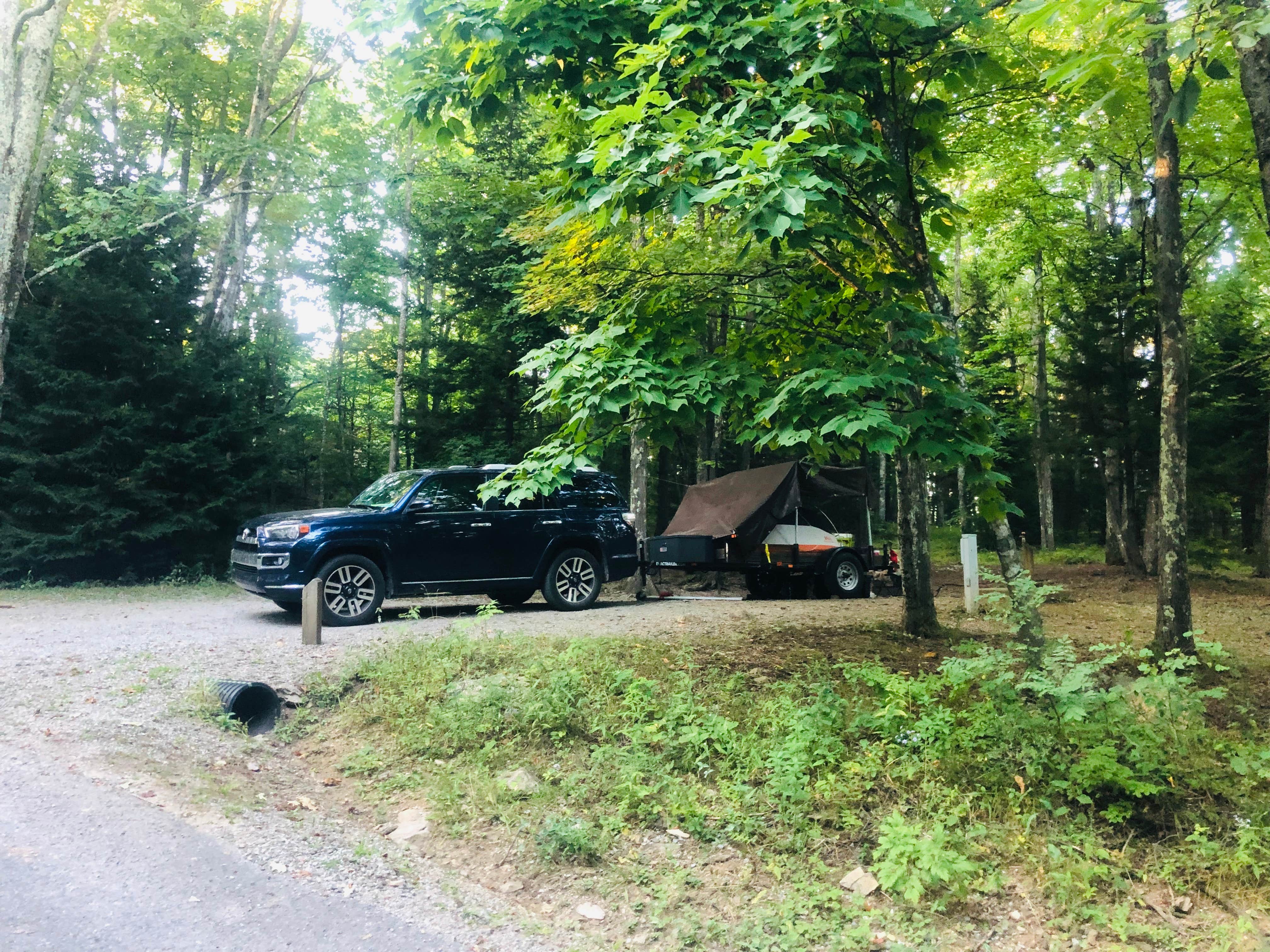 Shelly S.'s photo at Hickory Ridge Campground — Grayson Highlands State Park near Mouth of Wilson, VA