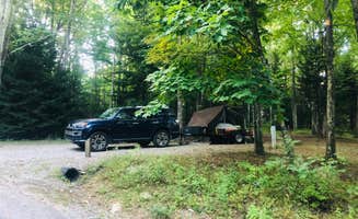 Shelly S.'s photo at Hickory Ridge Campground — Grayson Highlands State Park near Troutdale, VA