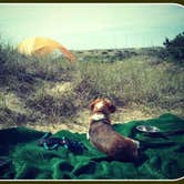 Review photo of Frisco Campground — Cape Hatteras National Seashore by Melanie  P., September 22, 2019