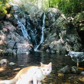 Review photo of Hickory Ridge Campground — Grayson Highlands State Park by Shelly S., September 22, 2019